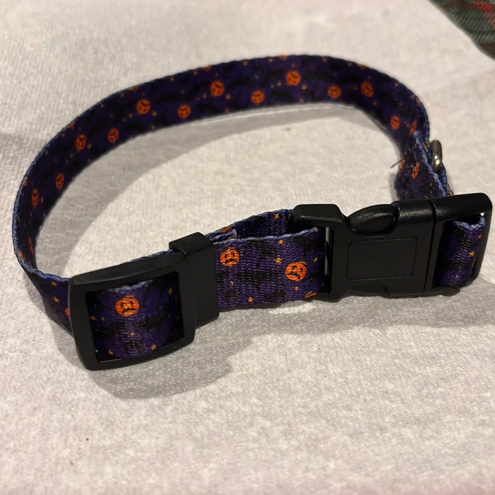 Medium - Large Halloween Dog or cat collar